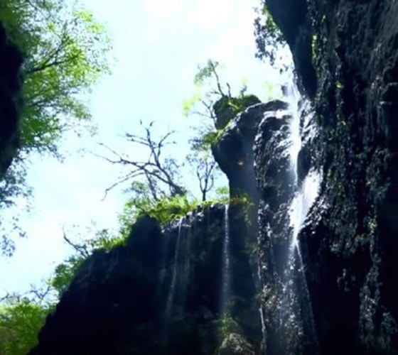 青山綠水，白龍江畔江畔息白鷺，兩岸綠橄欖入眼的都是純樸自然枝上花開(kāi)，春來(lái)水暖魚(yú)蝦戲水，鳥(niǎo)語(yǔ)花香心中充滿(mǎn)著舒暢之感祥宇生態(tài)產(chǎn)業(yè)園，位于隴南市武..